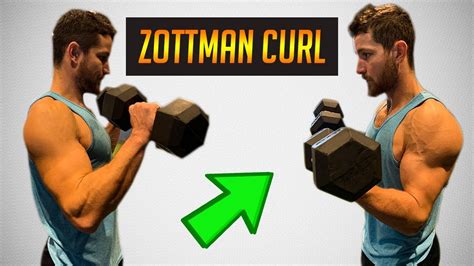 Zottman curls are considered to be a good exercise because they combine the best aspects of both the bicep curl and the reverse curl, resulting in a movement …